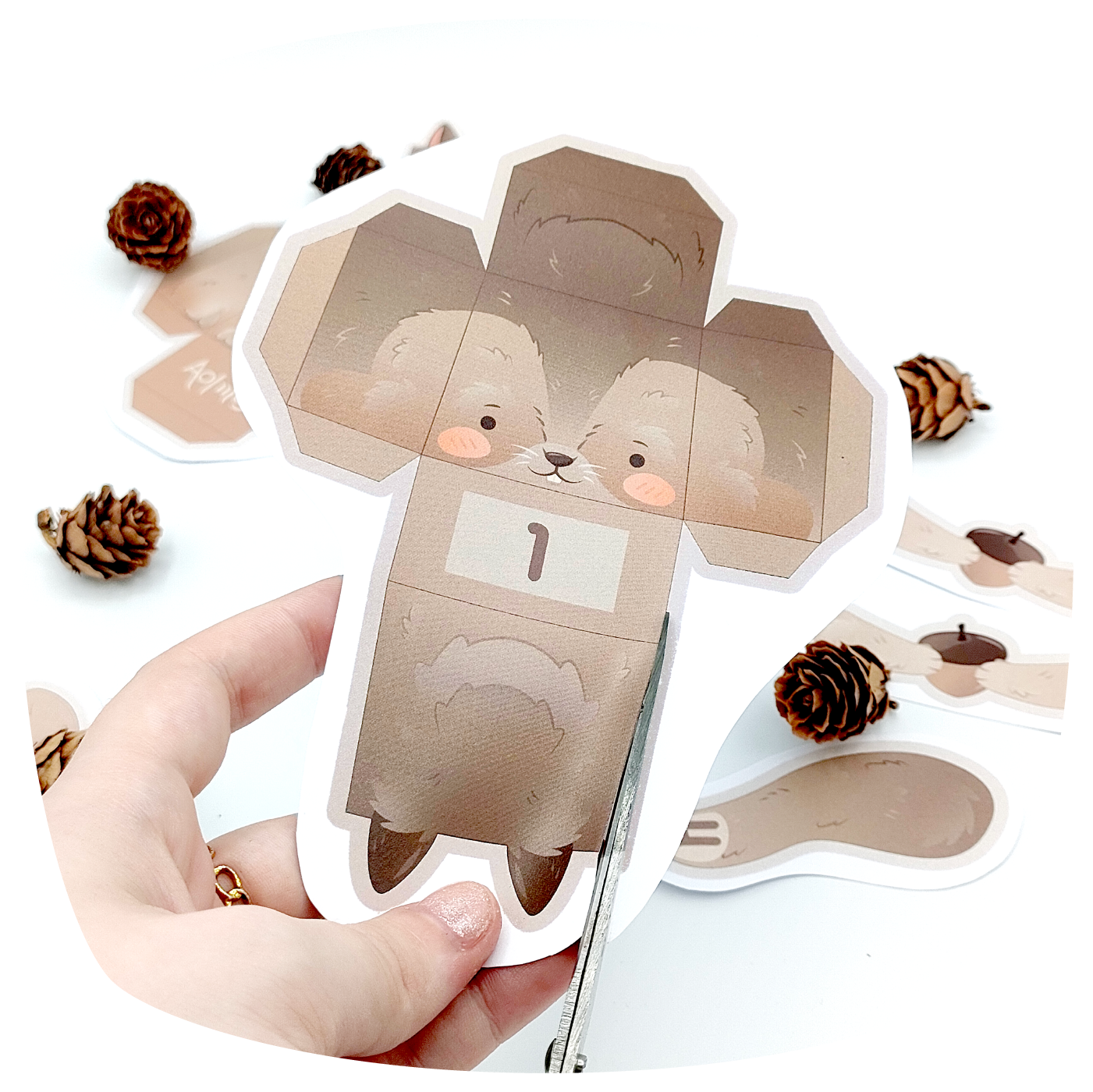 Aolmès Animaux Écureuil Sireuil 4