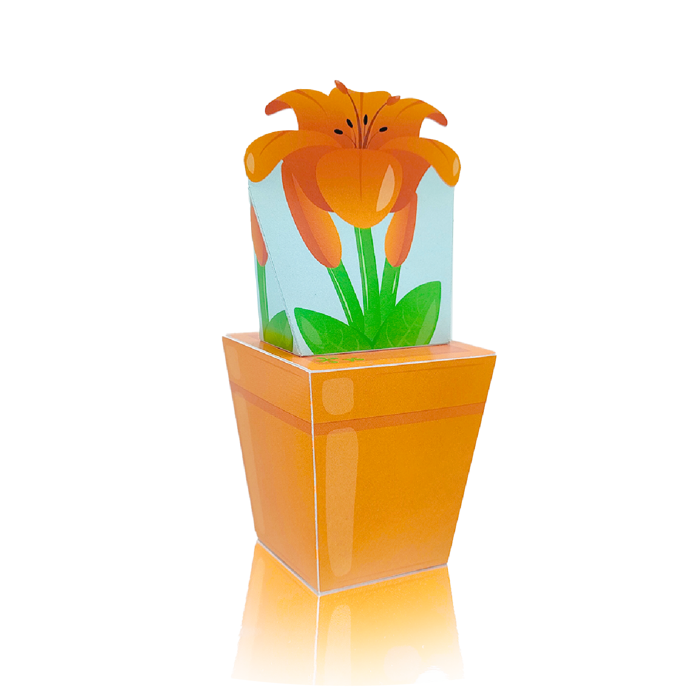 Aolmès Fêtes 2023 Lys Oranges 3