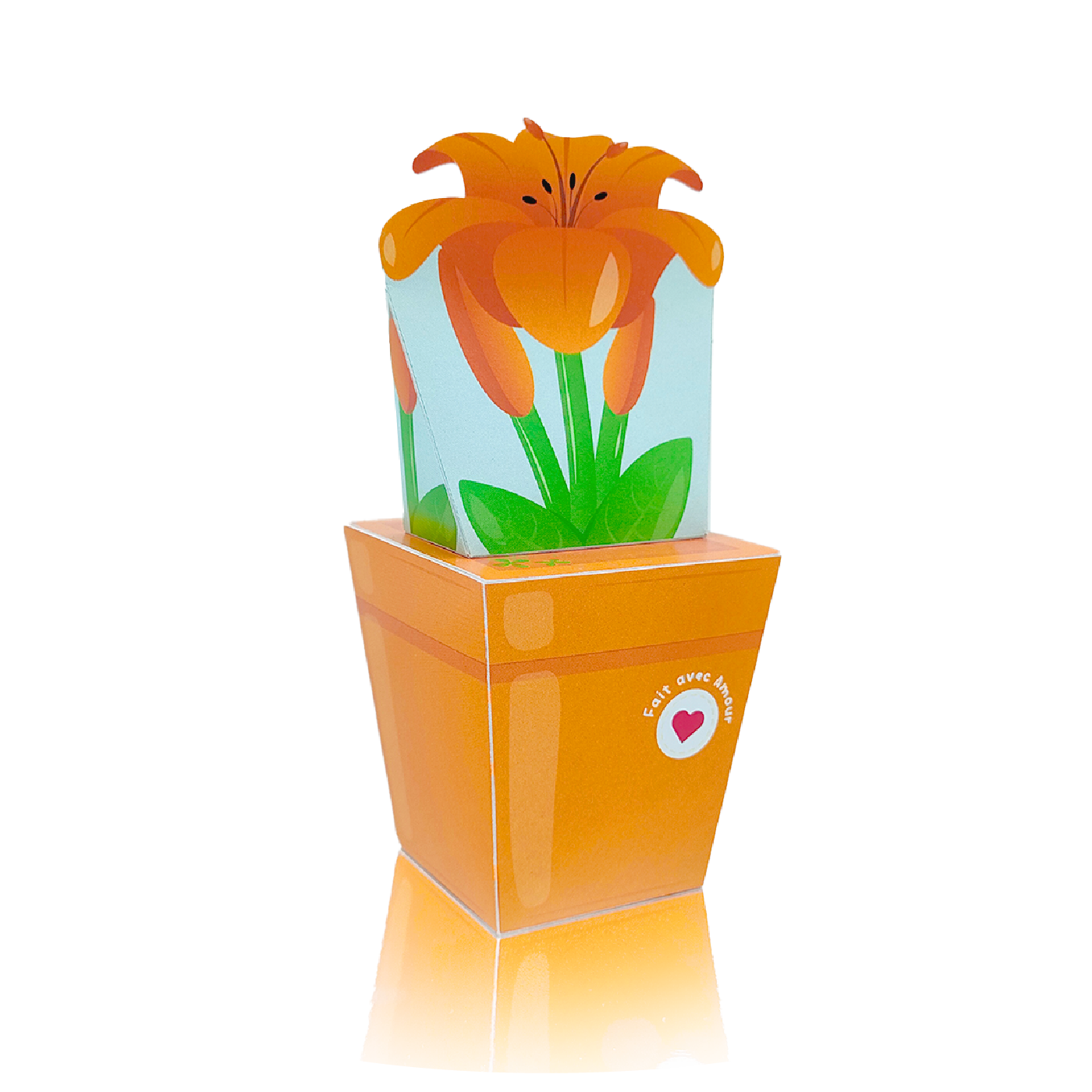 Aolmès Fêtes 2023 Lys Oranges 1