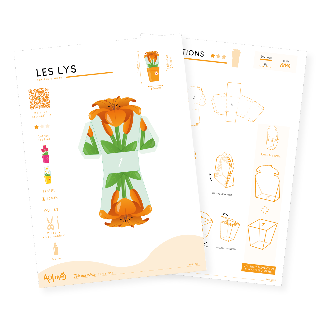 Aolmès Fêtes 2023 Lys Oranges 4