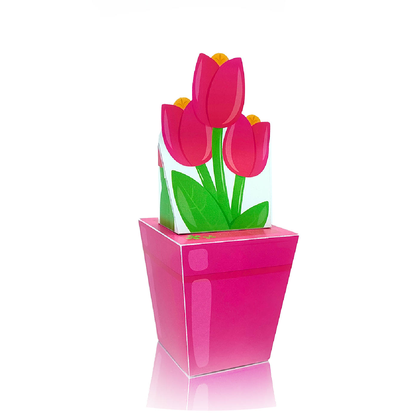 Aolmès Fêtes 2023 Tulipes roses 3